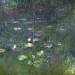 Waterlilies: Morning (detail)